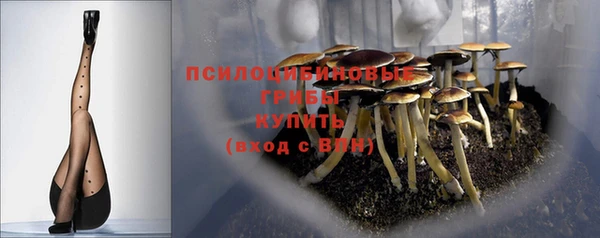 шишки Нягань